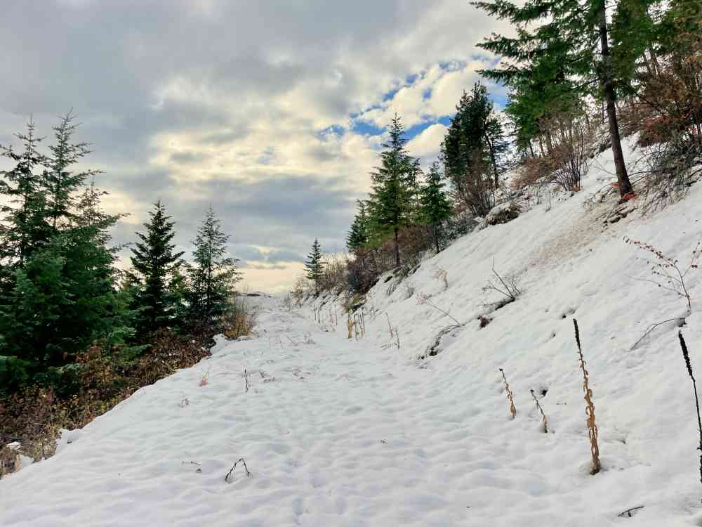 Hike Wilden Ridge (Kelowna)